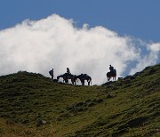 18 Ed ecco ...a cavallo sulla cresta del Passo di Tartano